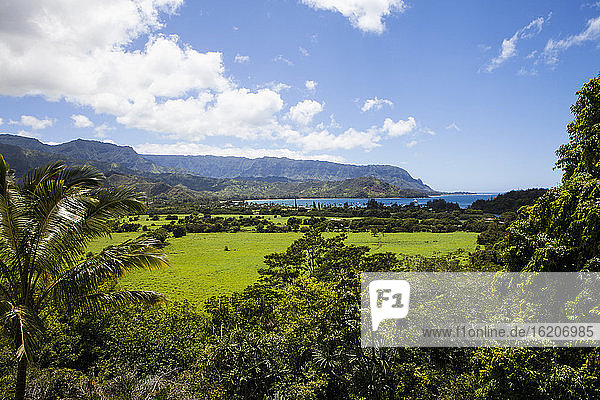 malerische Landschaft  Kauai  Hawaii