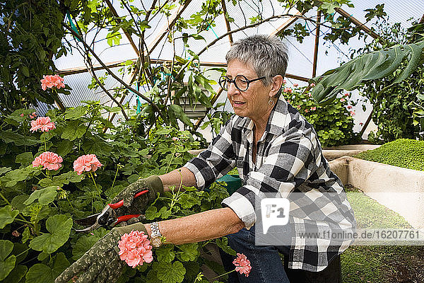 ältere Frau bei der Gartenarbeit in geodätischer Kuppel