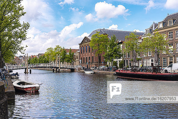 Oude Vest  Canal in the old town of Leiden with historic houses in the background  Leiden  South Holland  The Netherlands  Europe