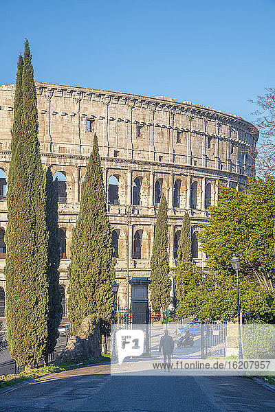 Kolosseum vom Parco del Colle Oppio  UNESCO-Weltkulturerbe  Rom  Latium  Italien  Europa