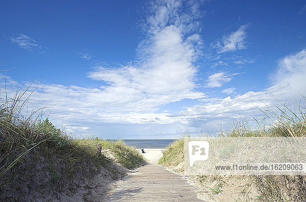 Deutschland  Blick auf die Usedomer Ostseeküste im Sommer
