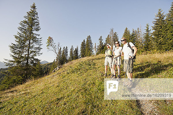 Drei Freunde beim Wandern in den Bergen  Achenkirch  Österreich