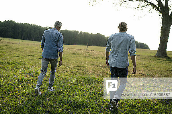 Vater und erwachsener Sohn gehen auf einer Wiese in der Natur spazieren