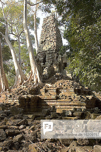 Kambodscha  Angkor  Siem Reap  Preah Palilay-Tempel