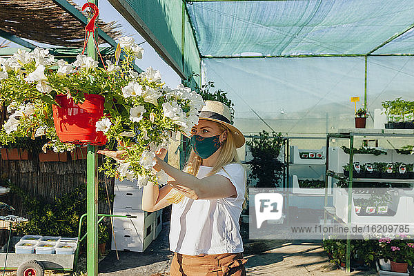 Weiblicher Besitzer mit Maske und Hut bei der Pflege von Blumen in einer Gärtnerei
