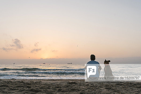 Man with his dog sitting on beach sand at dawn