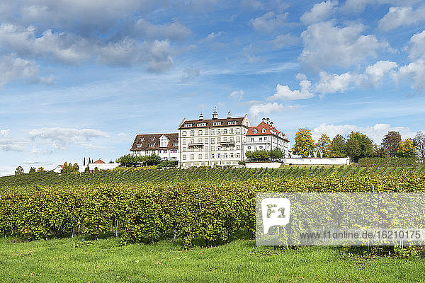 Deutschland  Baden Württemberg  Blick auf Schloss Kirchberg mit Weinberg