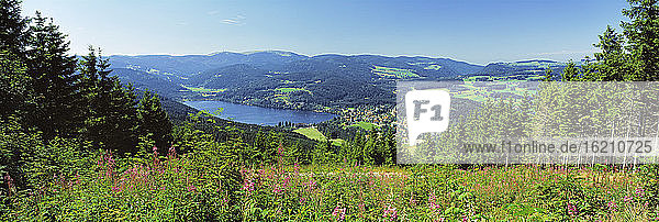 Germany  Baden-Württemberg  Schwarzwald  Lake Titisee in background