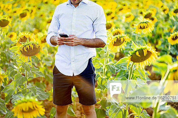 Junger Mann benutzt sein Smartphone  während er inmitten von Sonnenblumen im Feld steht