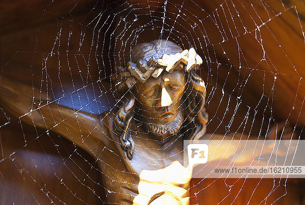 Österreich  Spinnennetz vor der Kreuzigung