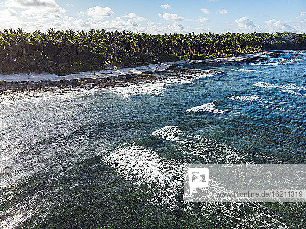 Drohnenansicht von Palmen am tropischen Strand im Sommer
