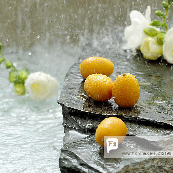 Kumquats and blossoms of freesia on stone  close-up