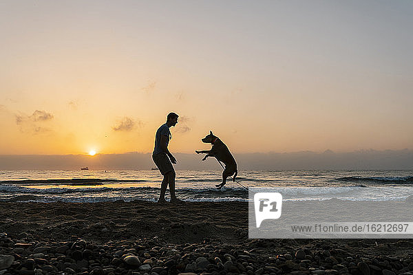Silhouette Mann hat Spaß mit seinem Hund am Strand während der Morgendämmerung