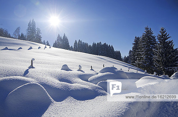 Deutschland  Bayern  Blick auf Winterlandschaft Tal