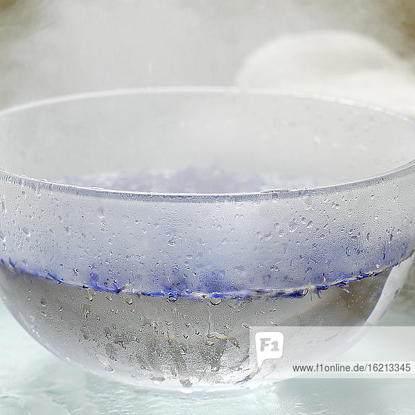 Cornflowers in bowl with hot water