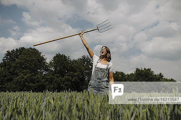 Schreiende junge Frau  die eine Heugabel in einem Getreidefeld auf dem Lande hochhebt