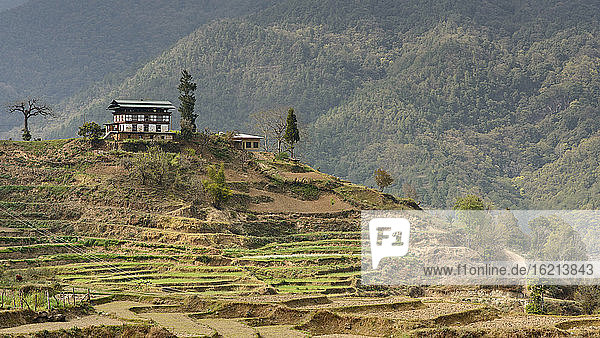 Bhutan  Blick auf Bauernhaus und Reisfelder im Punakha-Tal