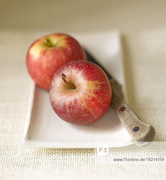 Äpfel und Messer auf einem Tablett  Nahaufnahme