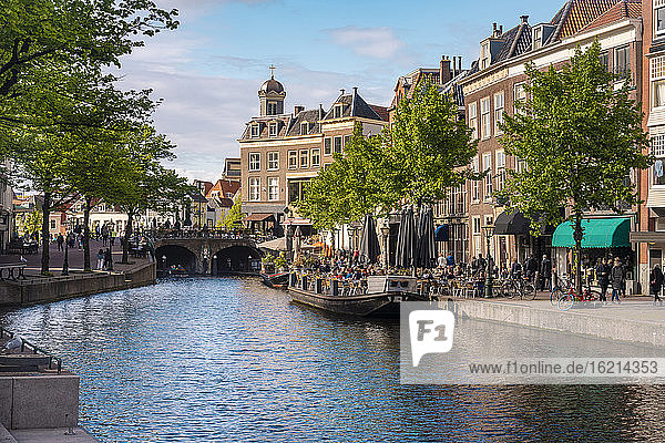 Netherlands  South Holland  Leiden  Nieuwe Rjin river canal