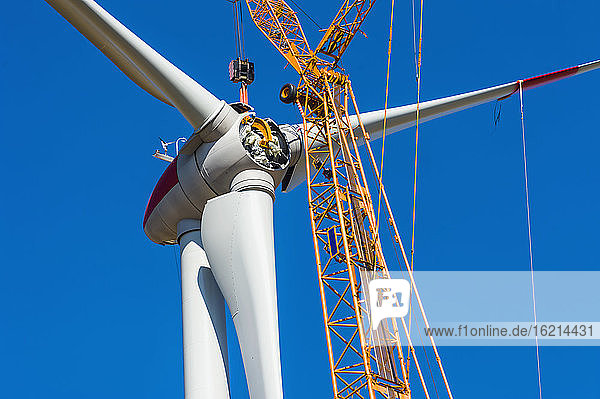 Deutschland  Sachsen  Bau einer Windkraftanlage mit Kran