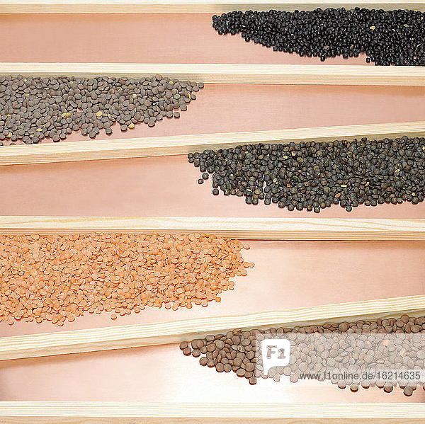 Various dried lentils  elevated view