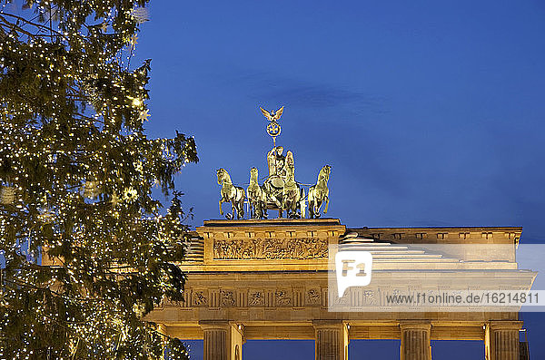 Deutschland  Berlin  Blick auf das Brandenburger Tor mit Quadriga und Weihnachtsbaum