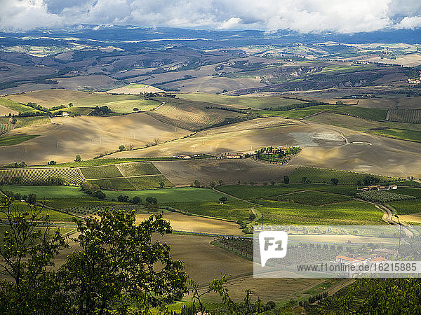 Italy  View of Tuscany from Montalcino