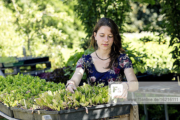 Young woman with plants tray sitting in community garden