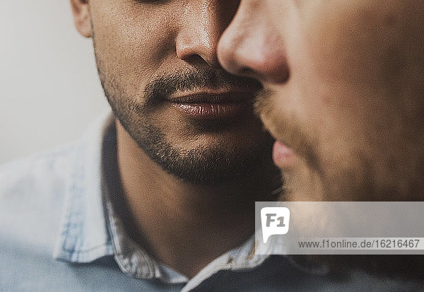 Portrait of gay male couple  mouths and beards