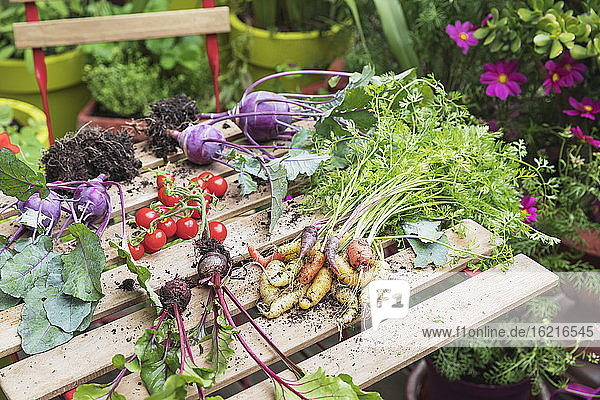 Pflanzen und Gemüse über dem Tisch im städtischen Garten