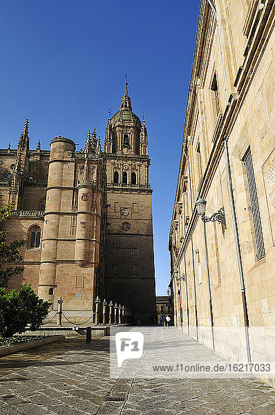 Europe  Spain  Castile and Leon  Salamanca  View of cathedral