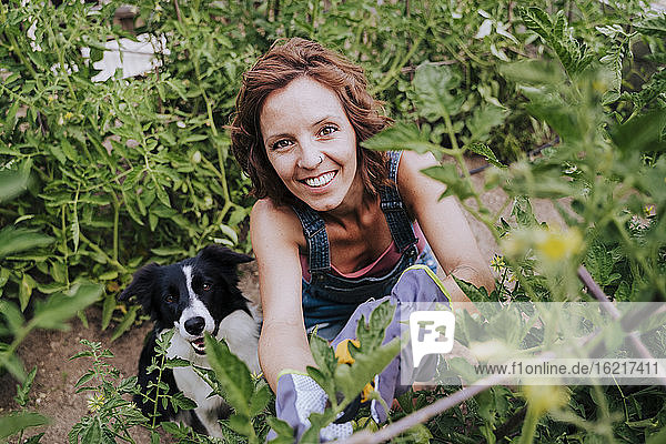 Smiling woman with border collie working in vegetable garden