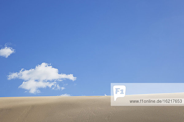 Neuseeland  Blick auf die riesigen Sanddünen von Te Paki