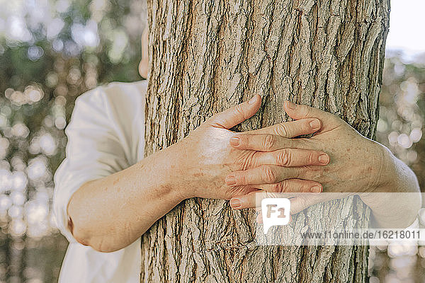 Hände einer älteren Frau umarmen einen Baumstamm im Garten