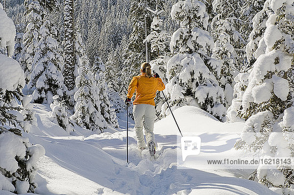 Austria  Salzburger Land  Altenmarkt-Zauchensee  Young woman cross-country skiing  rear view