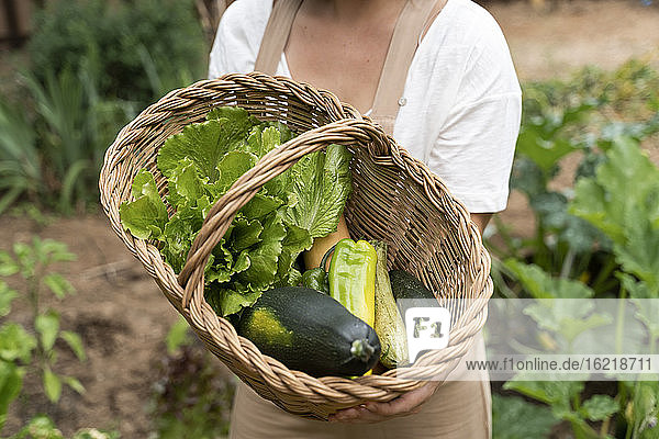 Nahaufnahme einer jungen Frau  die einen Weidenkorb mit Gemüse im Garten hält