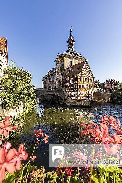 Deutschland  Bayern  Bamberg  Fluss Regnitz und altes Rathaus im Frühling