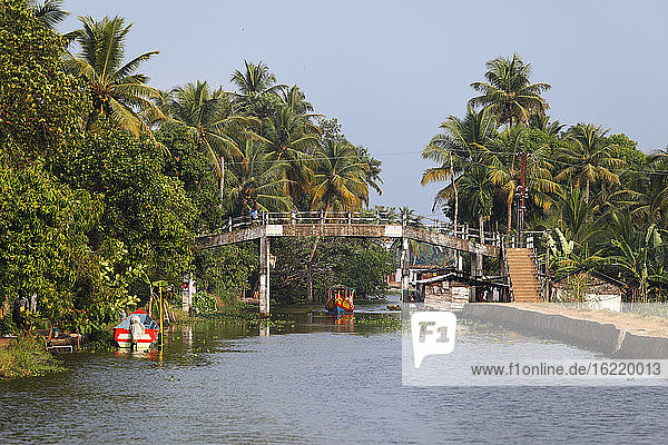 India  Kerala  Alappuzha  View of backwaters of alleppey