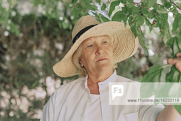 Nahaufnahme einer älteren Frau mit Hut  die eine Pflanze im Garten betrachtet