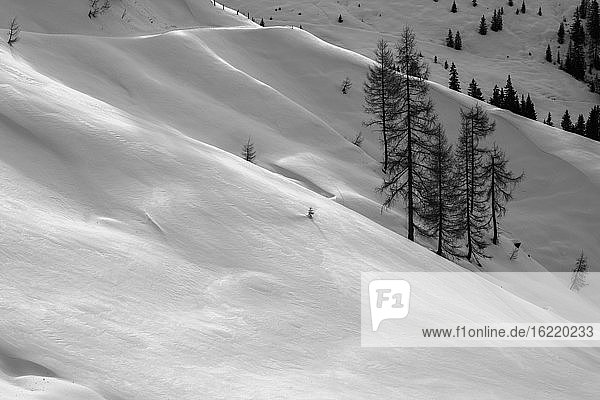 Österreich  Tirol  Winterlandschaft des Brechhorns