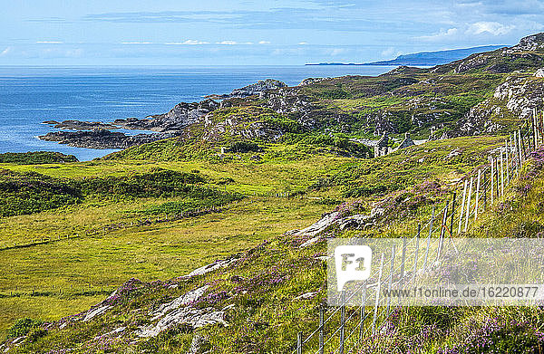 Europa  Großbritannien  Schottland  Hebriden  südöstlich der Isle of Skye  Küstenmoor am Point of Sleat