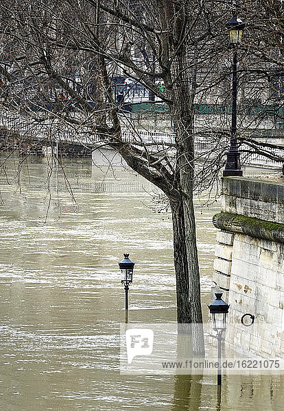 Europa  Frankreich  Ile de France  Paris  die Seine tritt am 28. Januar 2018 über die Ufer  ein Baum und ein Laternenpfahl stehen auf der Ile St. Louis unter Wasser