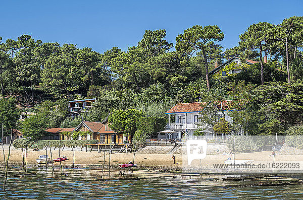 France  Arcachon bay  Cap Ferret  villas between the Canon and l'Herbe