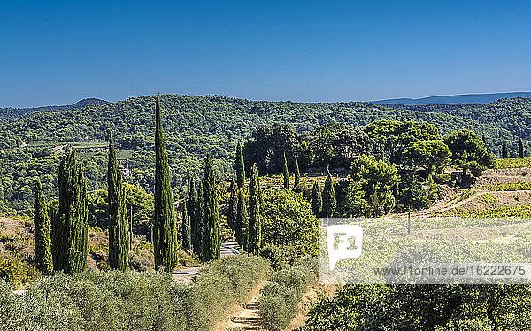 Frankreich  Provence  Vaucluse  Dentelles de Montmirail  ländliche Landschaft