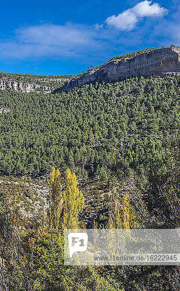 Spanien  Autonome Gemeinschaft Kastilien-La Mancha  Provinz Cuenca  Nationalpark Serrania de Cuenca