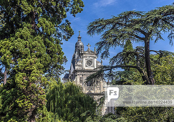 Frankreich  Zentral-Val de Loire  Loir et Cher  Blois  Bäume auf dem Platz Thierry und Kirche Saint Vincent-de-Paul (17. Jahrhundert)