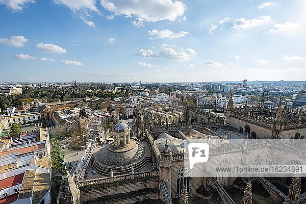 City view  view over the old town from the tower La Giralda  view on the roof of the cathedral of Sevilla  with Real Alcázar de Sevilla  Sevilla  Andalusia  Spain  Europe