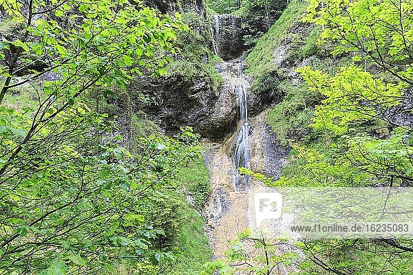 Wasserfall  Almbachklamm  Berchtesgadener Land  Bayern  Deutschland  Europa