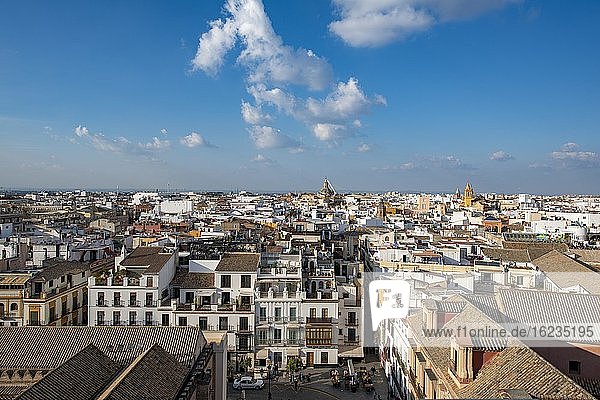 City view  view over the old town from the tower La Giralda  Cathedral of Seville  Seville  Andalusia  Spain  Europe