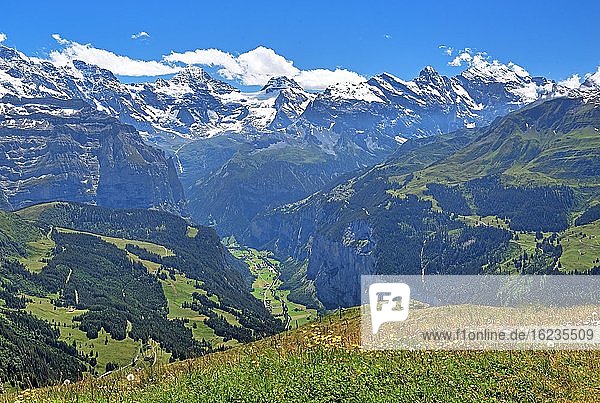 Bergwiese auf dem Männlichen mit Lauterbrunnental und Breithorn  Wengen  Jungfrau-Region  Berner Oberland  Kanton Bern  UNESCO-Weltnaturerbe  Schweiz  Europa